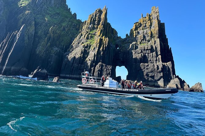 Blasket Island Sea Life Rib Tour, - Exploring the Blasket Islands’ Coastline and Sea Caves