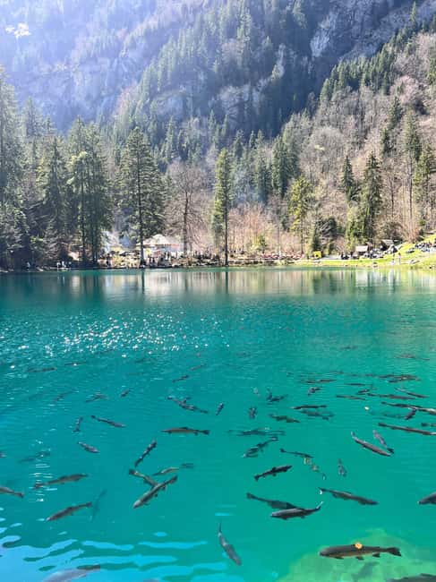Blausee: Lake and Swiss Fondue Experience - Frequently Asked Questions
