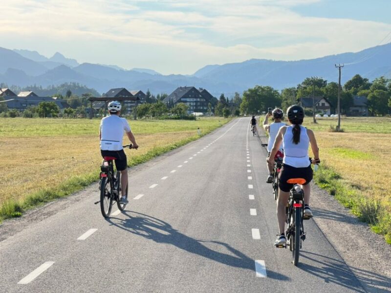 Bled: e-Bike Rental - Key Points