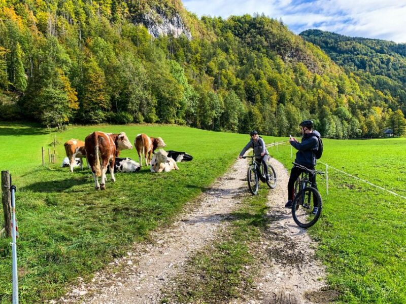 Bled: EBike Tour Lake Bled & Triglav National Park Private - Discover Bled and Triglav National Park on a Private E-Bike Tour for $250