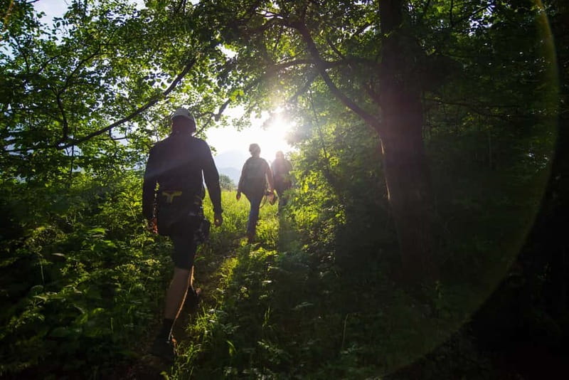Bled: Europe's Longest Zipline Adventure over Dolinka River - The Experience for Families and Groups