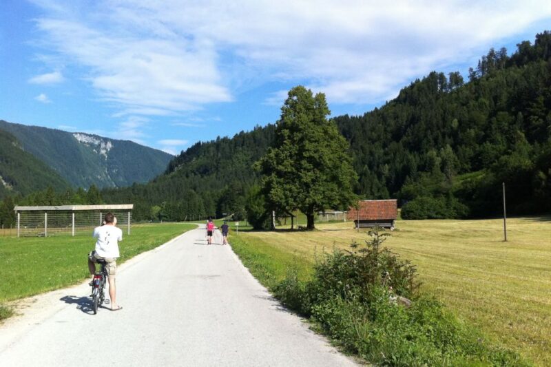 Bled: Mountain Bike Rental - Explore Lake Bled on a Quality KTM Mountain Bike for $28