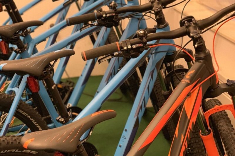 Bled: Mountain Bike Rental - Quality and Maintenance of KTM Mountain Bikes