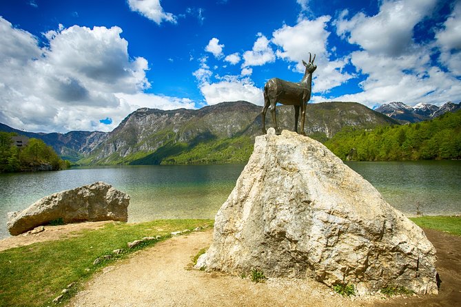 Bled to Lake Bohinj Trip - Key Points