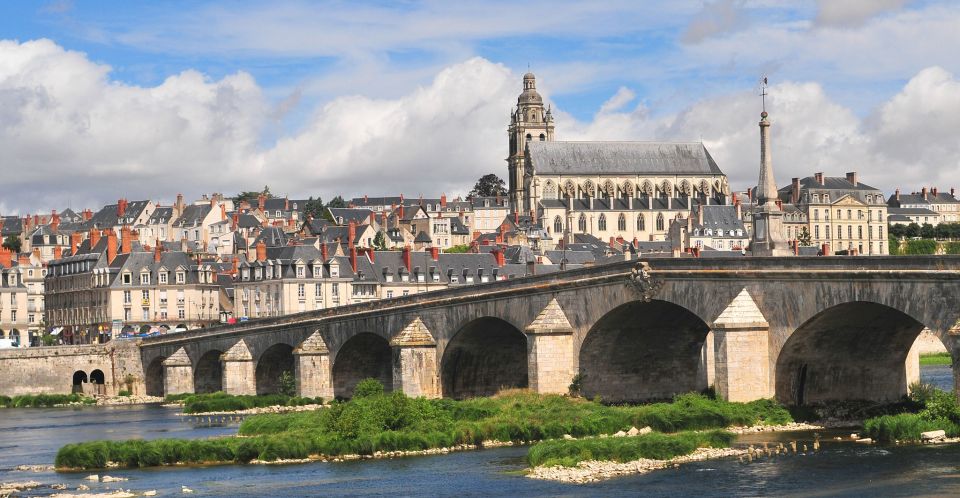Blois: Private Tour of Blois Castle with Entry Tickets - The Personal Touch of a Licensed Local Guide