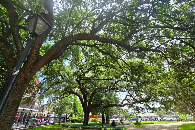 Blood and Brick: Macabre Histories of the French Quarter Tour - Key Points