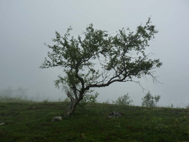 Bloody Stockholm: ghosts, horror and dark folklore 2h - Starting at the Gustav III Obelisk in Old Town
