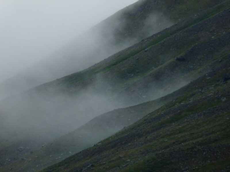 Bloody Stockholm: ghosts, horror and dark folklore 2h - Final Impressions and Who Will Enjoy This Tour