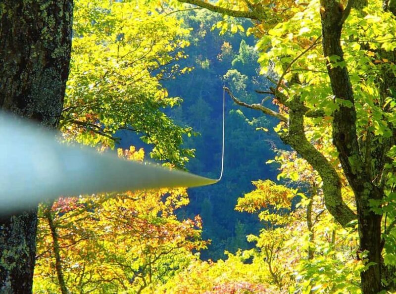 Blowing Rock: Zipline Adventure Tours with Waterfall Views - Key Points