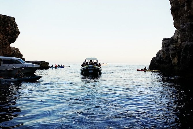 Blue Cave | 5-Hour Afternoon Sea Safari - Physical Requirements and Suitability