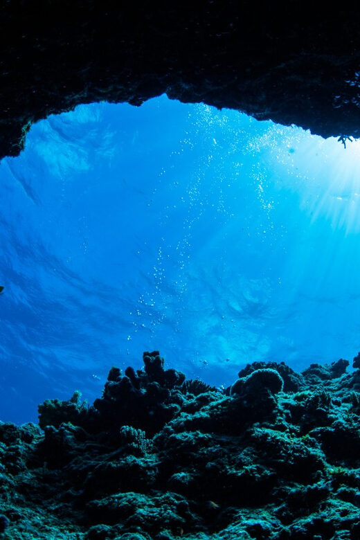 Blue Cave and Elaphiti Islands Private Speed Boat Tour - Key Points