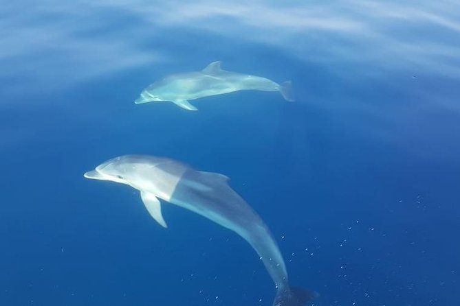 Blue Cave and Hvar Tour from Trogir - Starting Point and Tour Duration in Trogir