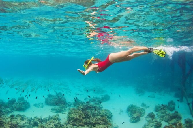 Blue Cave Full-Day Boat Tour with Hvar and 5 Islands - Key Points