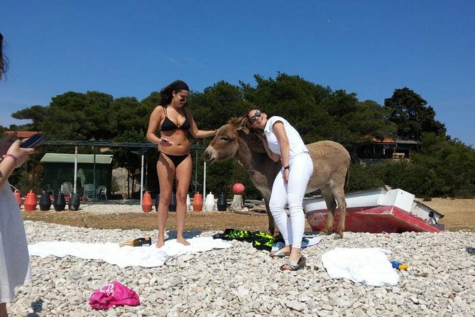 Blue Cave, Hvar and Five islands - Small-Group Tour From Split - Hvar and Its Vibrant Atmosphere