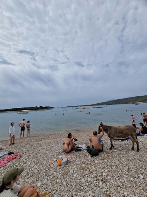 Blue cave private tour from Hvar - Green Cave: A Short Stop with Big Views