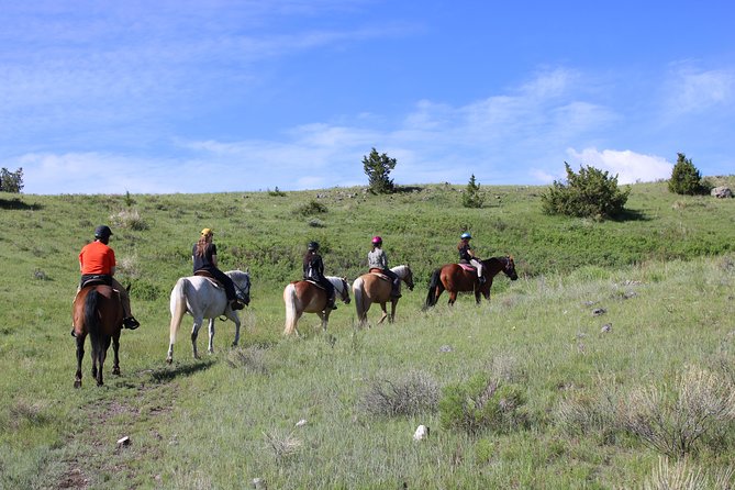 Blue Flower Trail Ride - Weather and Cancellation Policy