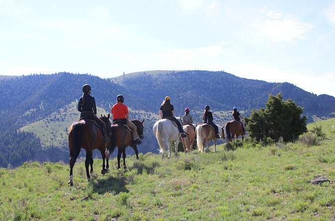 Blue Flower Trail Ride - The Experience with Eriks Ranch