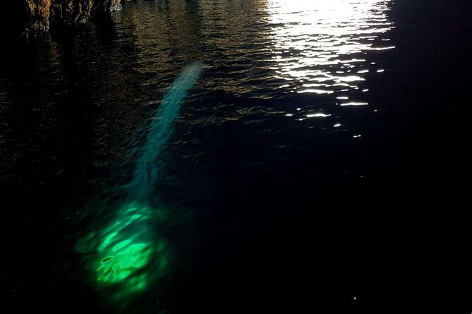 Blue & Green Cave Vis Island and Pakleni Islands Private Day Trip from Hvar - Lunch and Relaxation at Pakleni Islands