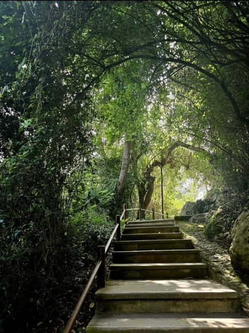 Blue Lagoon (Akamas) Bus & Boat Tour from Paphos - Practical Details and Tips for the Tour