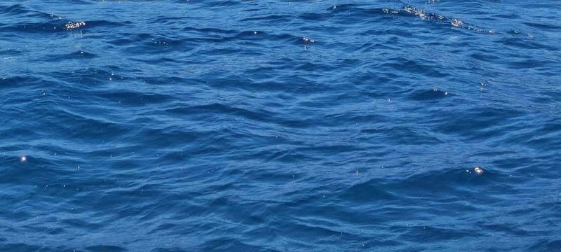 Blue Lagoon Latchi, coach transfer+boat trip, Half day trip - Smooth Coach Transfers from Paphos Hotels to Latchi Harbour