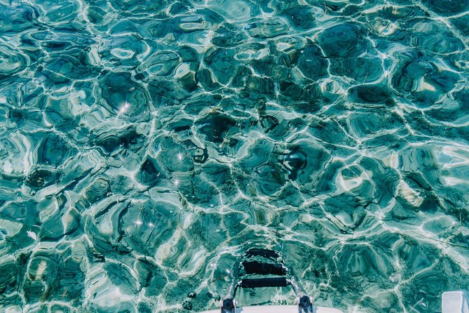 Blue Lagoon & Maslinica half day tour from Trogir - The Experience of the Guides and Boat Crew