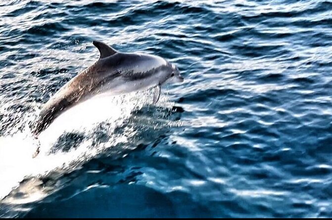 Blue Lagoon, Shipwreck & Maslinica from Split with LUNCH & DRINKS - Visiting the Vibrant Maslinica on olta Island