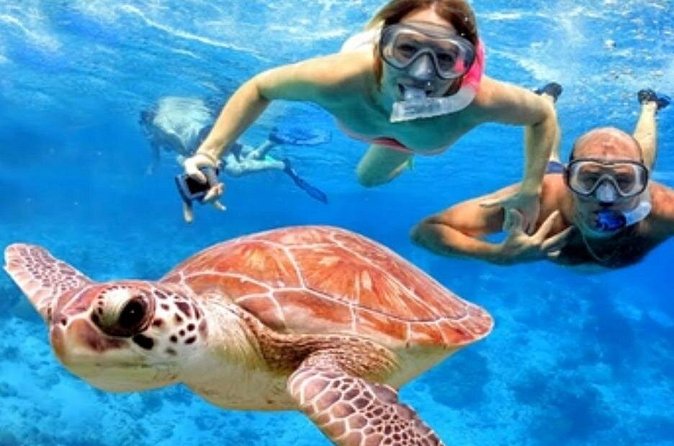 Blue Lagoon Snorkling activities - Booking, Cancellation, and Flexibility