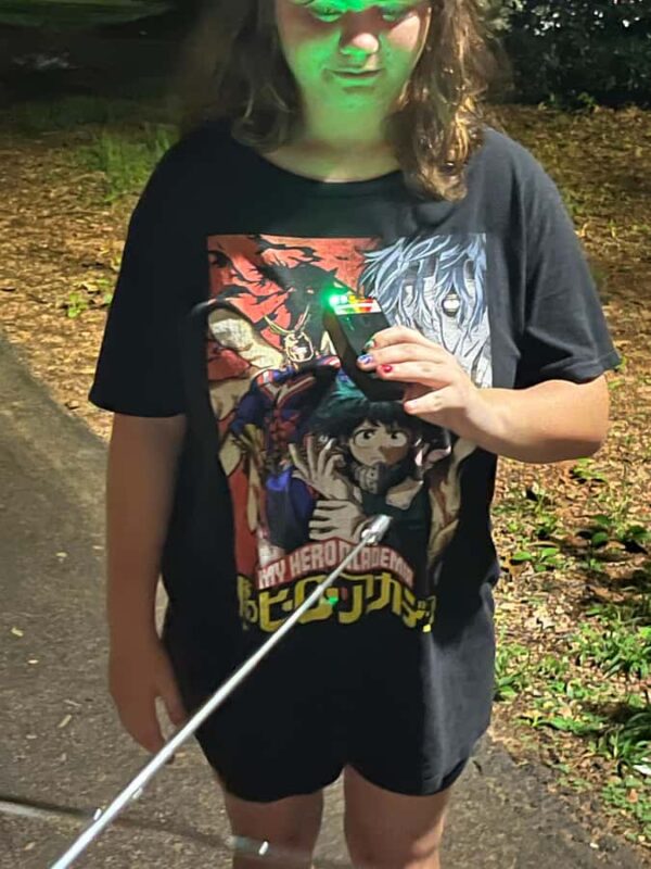 Blue Ridge: Haunted Walking Tour with Ghost Hunting - Key Points