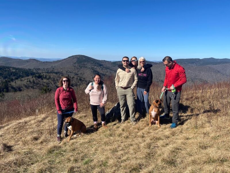 Blue Ridge hiking tour with areas #1 Guide (1/2 day) - What the Hike in Pisgah National Forest Entails