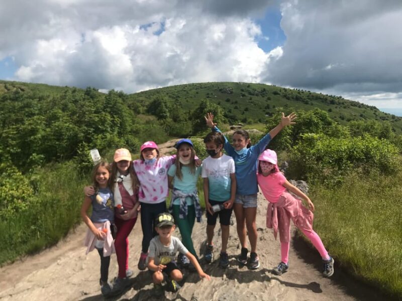 Blue Ridge hiking tour with areas #1 Guide (1/2 day) - Practical Tips for Your Pisgah Hike