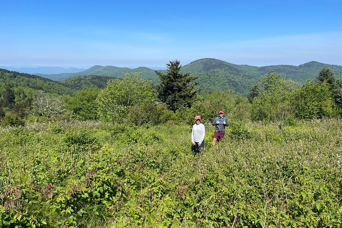 Blue Ridge Mtns Hiking Tour with the areas top rated trail expert - What to Bring and Wear