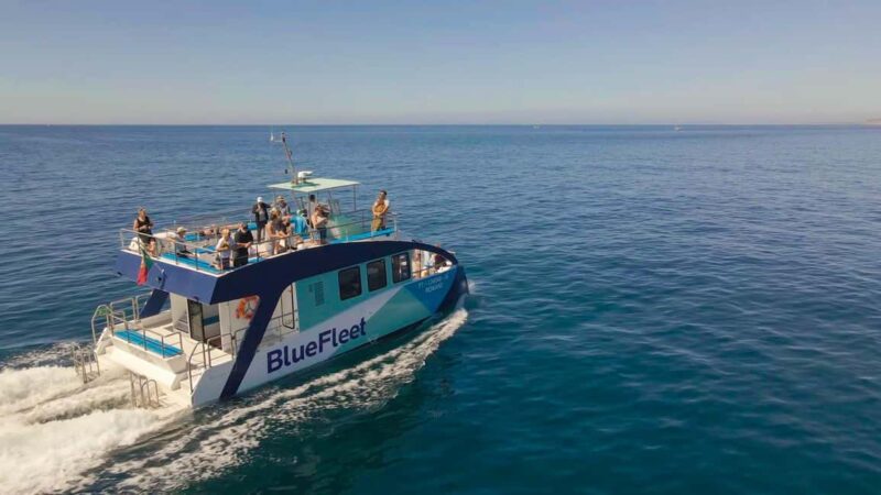 Blue Sunset Cruise to Ponta da Piedade From Lagos - Swimming and Relaxation Opportunities