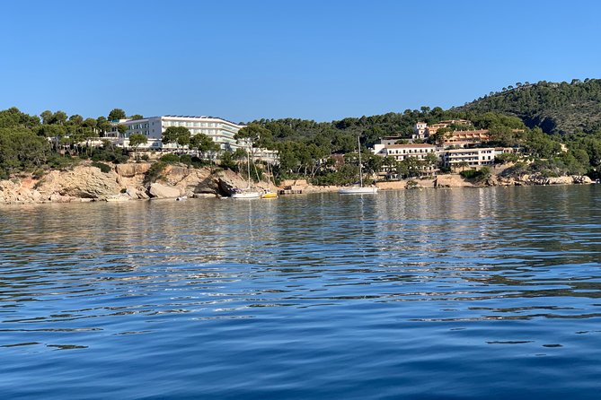 Bluemarine.me license free Bayliner Element E5 rental - Starting Point at Santa Ponças Carrer de Ramon de Montcada