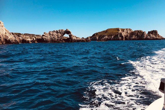 Bluemarine.me license free Bayliner Element E5 rental - Safety, Communication, and Customer Service