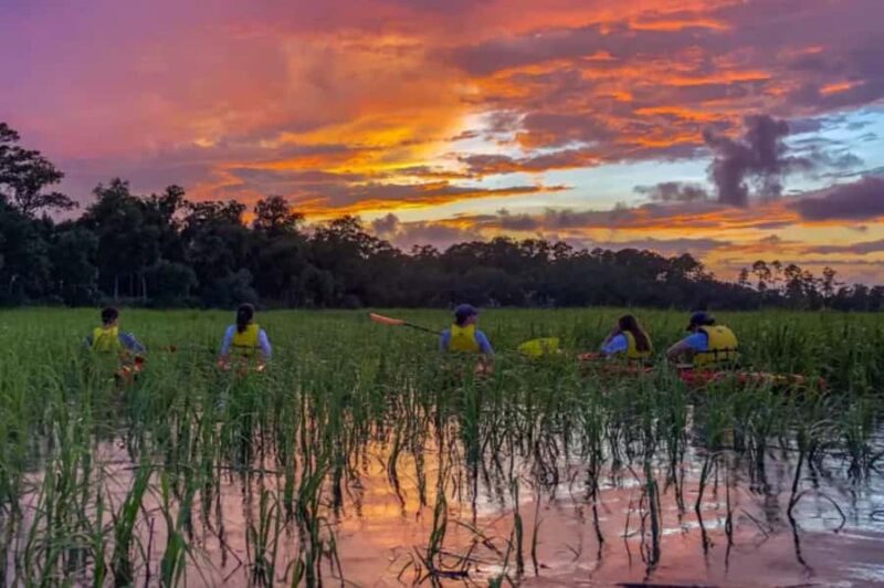 Bluffton: May River Kayak Nature and History Paddle - Experience the Serene May River Kayak Adventure in Bluffton