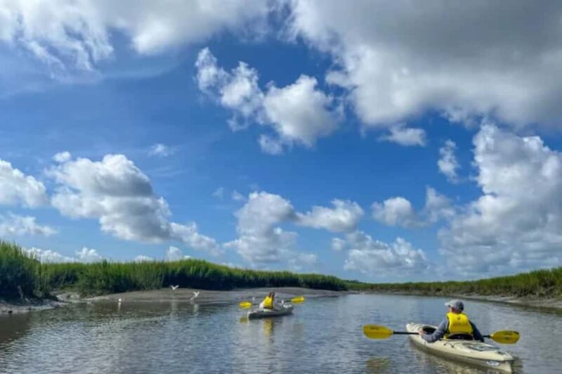 Bluffton: May River Kayak Nature and History Paddle - Key Points