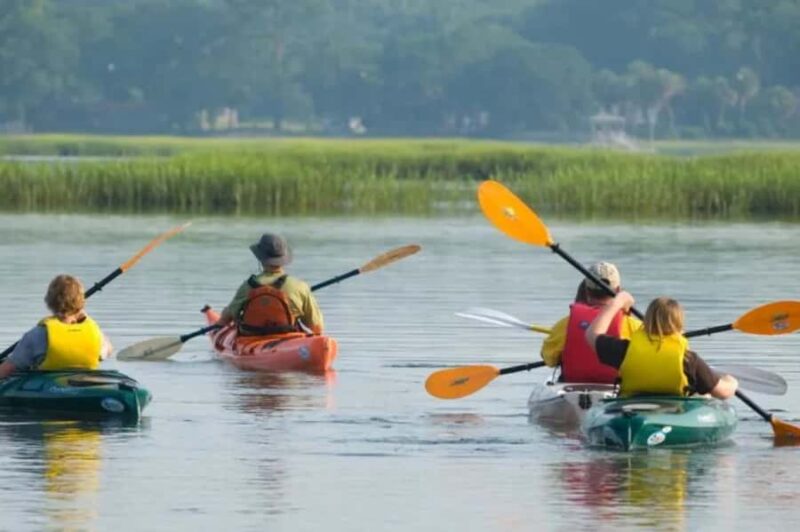 Bluffton: May River Kayak Nature and History Paddle - Exploring the Natural Habitat of Bluffton’s Creeks