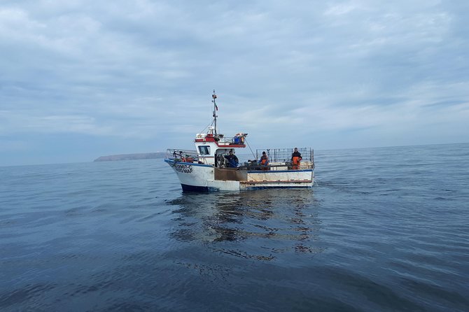 Boat and Kayak at Berlenga Natural Reserve - Starting Point and Transportation to Berlenga Islands