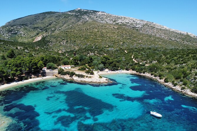 Boat Dolphins Safari and Snorkeling - Discover Sardinia’s Emerald Waters with a Private Speedboat Experience