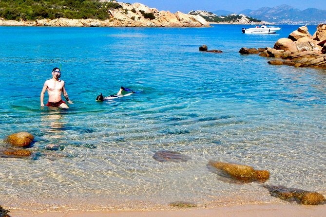 Boat Dolphins Safari and Snorkeling - Snorkeling Adventures in Crystal Clear Waters