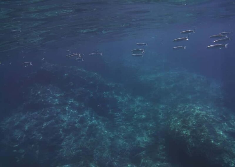 Boat excursion Giardini Naxos Taormina with swimming break - Key Points