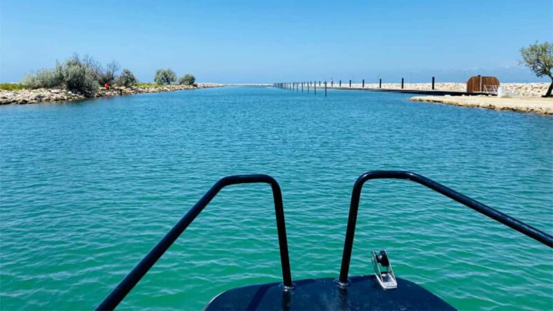 Boat excursions - Personalized Service and Entertainment Options