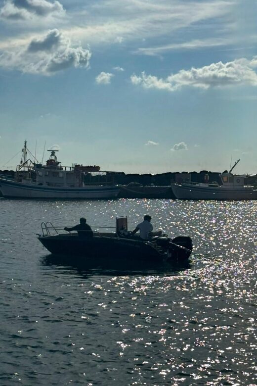 Boat Rental (Crewed) Cobra 5.0 - Who Will Appreciate This Tour Most?