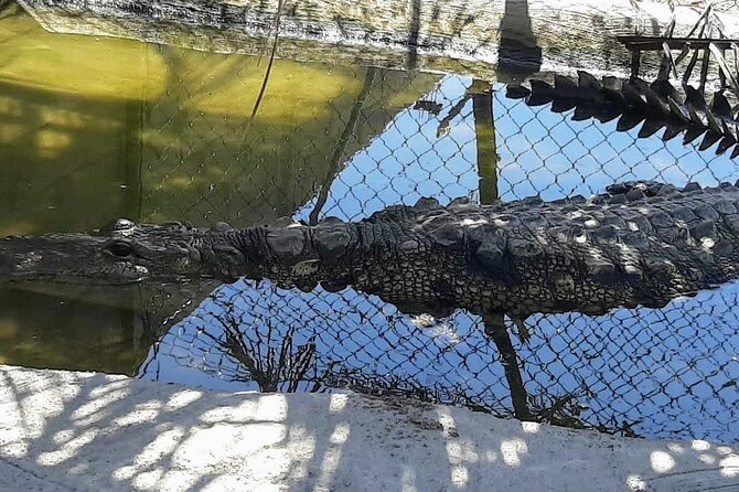 Boat Ride-Gentle Beach Beach Horseback Ride+Lunch-Crocs-Turtles - Sightseeing Begins with a Lagoon Boat Ride in Acapulco
