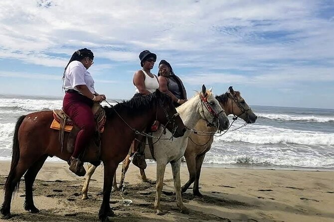 Boat Ride-Gentle Beach Beach Horseback Ride+Lunch-Crocs-Turtles - Logistics and Practical Details of the Tour