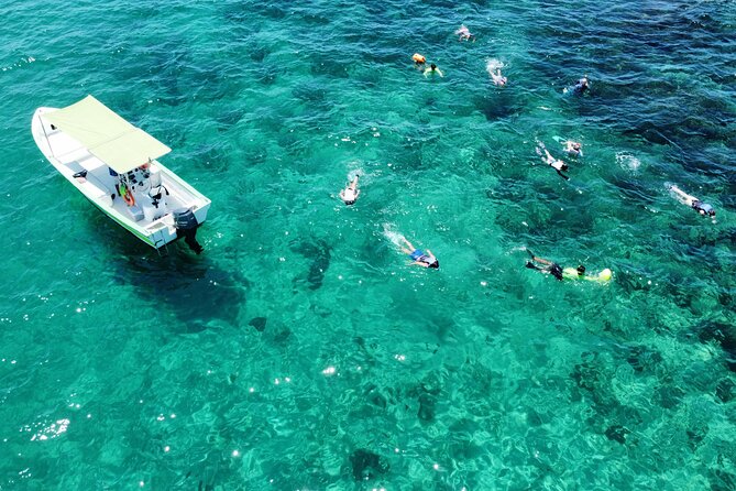 Boat ride to the Arch and Snorkel - Discover the Boat Ride to the Arch and Snorkel Tour in Cabo San Lucas