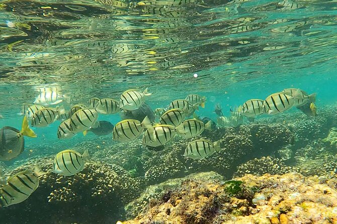 Boat ride to the Arch and Snorkel - The Crew: Knowledgeable Guides and Friendly Captains