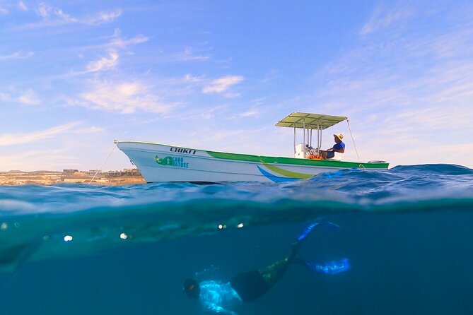 Boat ride to the Arch and Snorkel - Final Verdict: A Top-Rated Small-Group Adventure in Cabo San Lucas