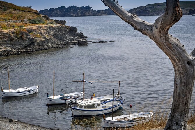 Boat through Cap de Creus and Port Lligat visit Cadaqués 1H30 - Port Lligat and Salvador Dalí’s House from the Water