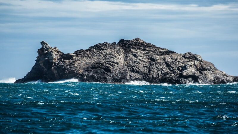 Boat through Cap de Creus and Port Lligat + Visit Cadaqués - Coastal Caves and Natural Wonders